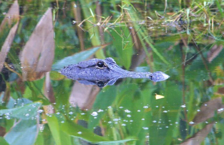 Everglades National Park