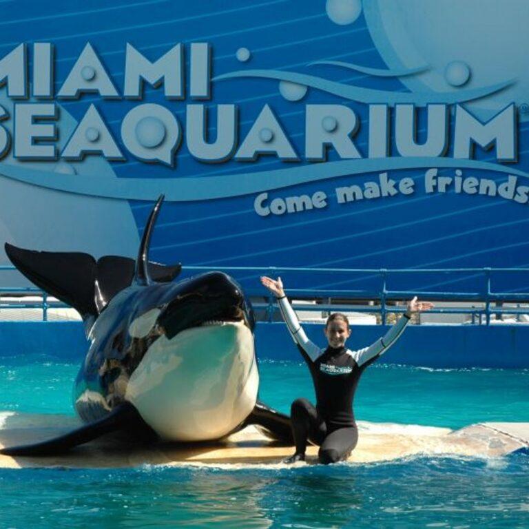 Miami Seaquarium