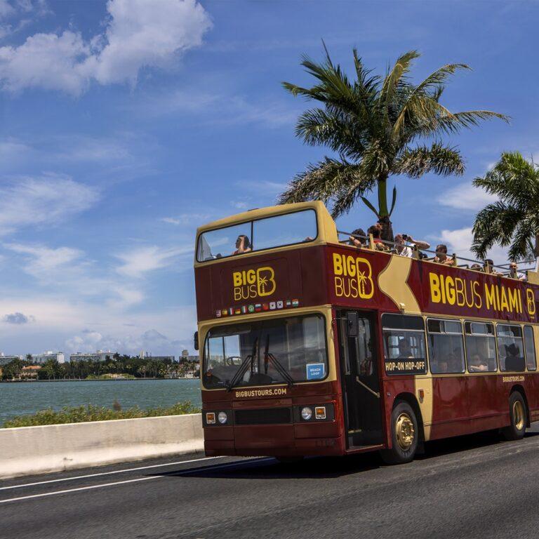 אוטובוס התיירים במיאמי